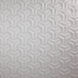 fp